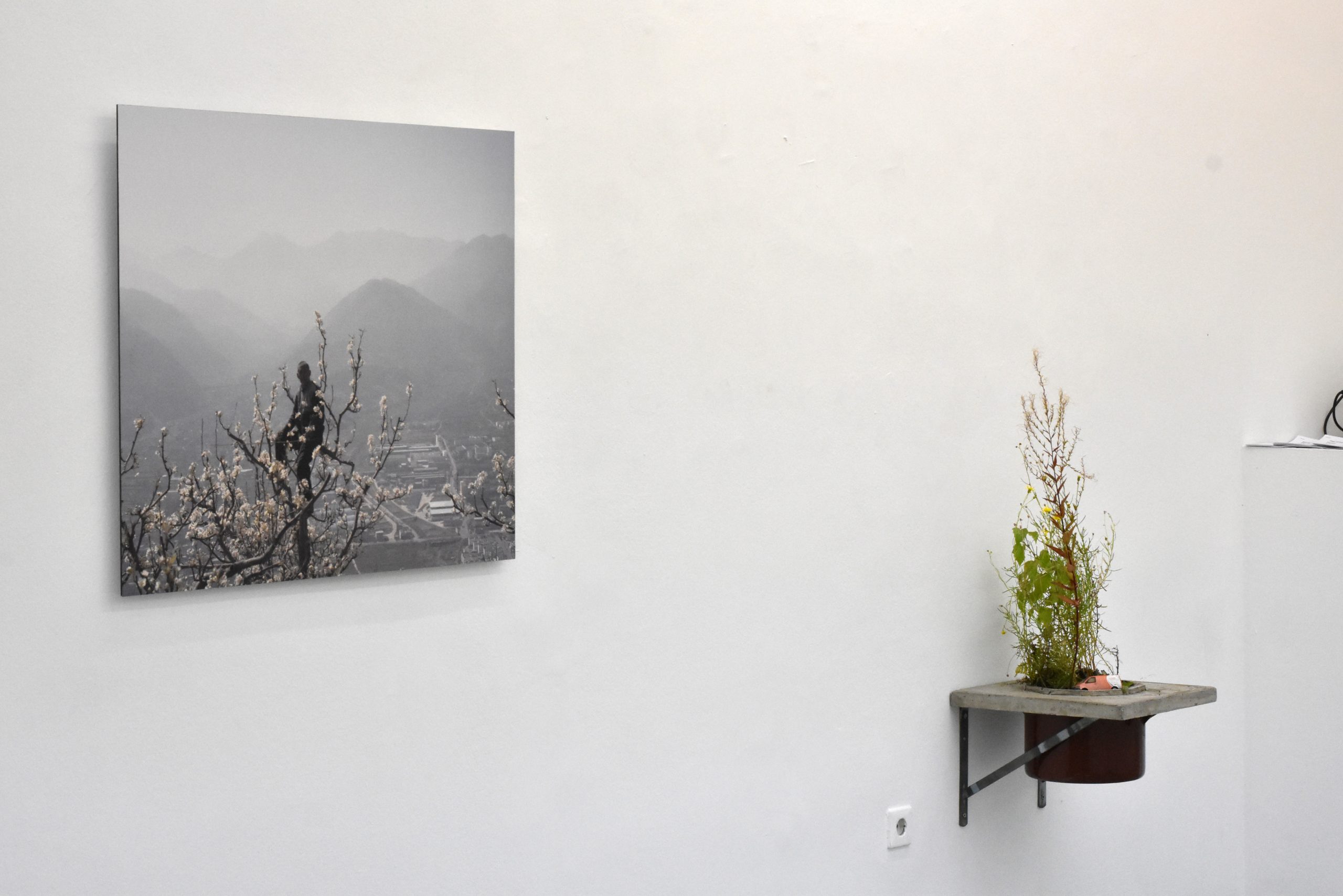Exhibition view